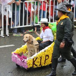 El colorido del Desfile de Silleteros fue constante, al igual que las Chivas adornadas para la ocasión. Don José, un showman.