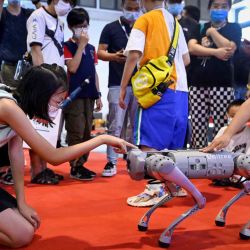 Los niños tocan un robot cuadrúpedo en la Conferencia Mundial de Robots 2022 en Beijing. WANG Zhao / AFP. | Foto:AFP