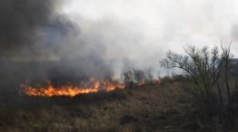 Incendios en el Delta: las graves consecuencias a la salud que produce la quema de pastizales
