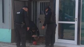 El animal fue capturado en pleno centro de Santo Tomé.