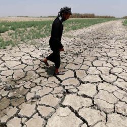 Una muestra de la sequía, en Irak, en el 2022.  | Foto:AFP