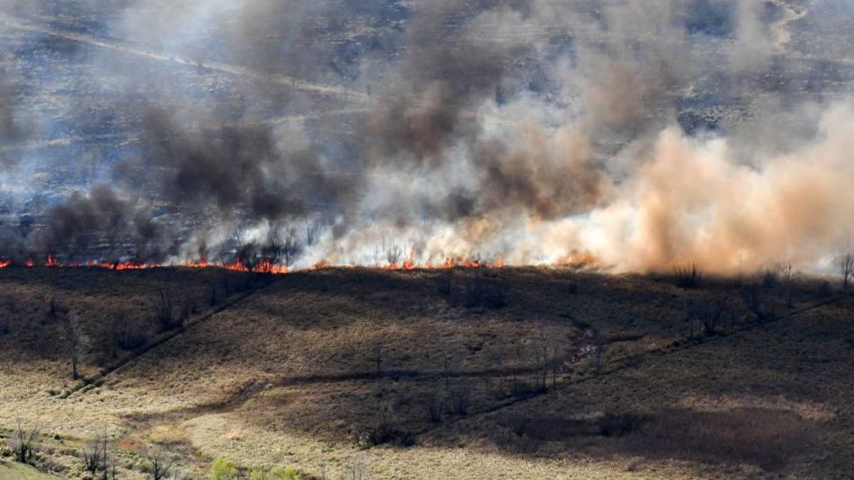 Incendios en el Delta 20220820