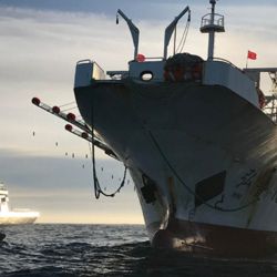 Durante el primer semestre del año pasado, unos 350 barcos de bandera china faenaron frente a las aguas territoriales de la Argentina