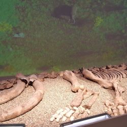 También encontraron un esqueleto de mujer que estaba enterrado junto a una gran cantidad de joyas en la necrópolis del mencionado asentamiento.