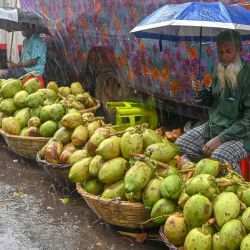 Los vendedores ambulantes esperan a los clientes durante la lluvia del monzón en Dhaka. Munir Uz Zaman / AFP. | Foto:AFP