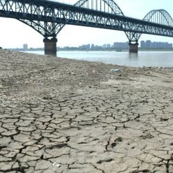 Ya son 66 ríos de 34 condados de la megalópolis de Chongqing que se han secado por completo.