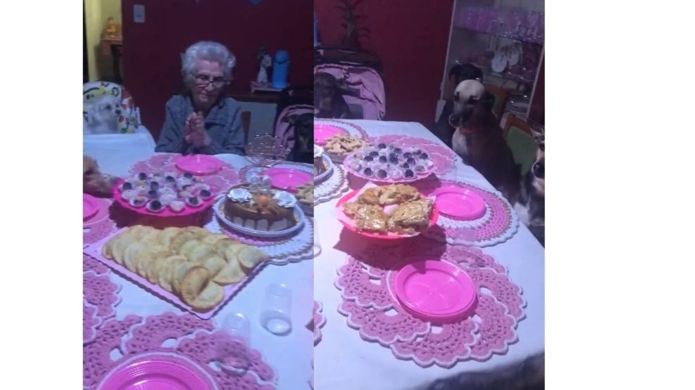 María, la abuela que festejó su cumpleaños con sus diez perros