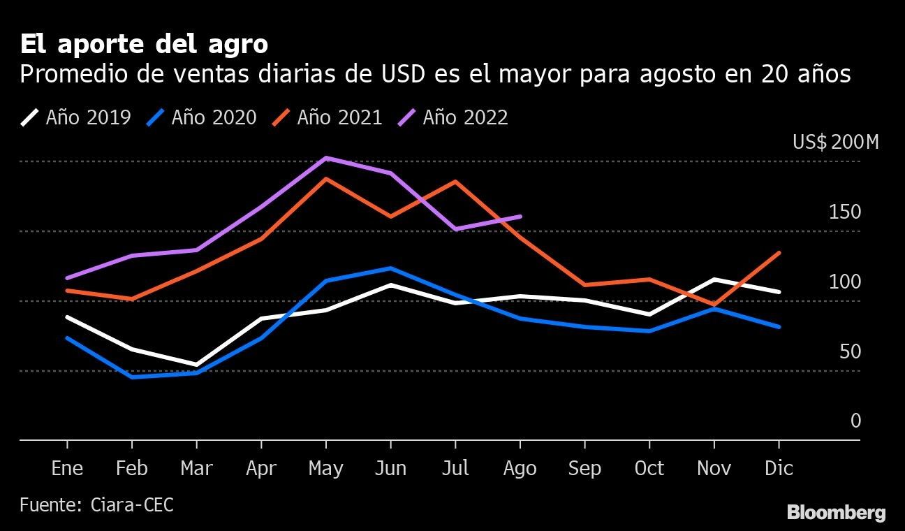 El aporte del agro | Promedio de ventas diarias de USD es el mayor para agosto en 20 años