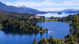Nuevas especies de crustáceos, peces y de plantas están afectando a los ejemplares nativos.