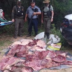 En total, se secuestraron 780 kilos de carne de carpincho.