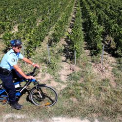 Un gendarme francés patrulla viñedos de champán en una bicicleta de montaña eléctrica en Bethon, en el norte de Francia, asegurando la cosecha de 2022 en una operación conocida como 'Gend'Viti'. FRANCOIS NASCIMBENI / AFP. | Foto:AFp