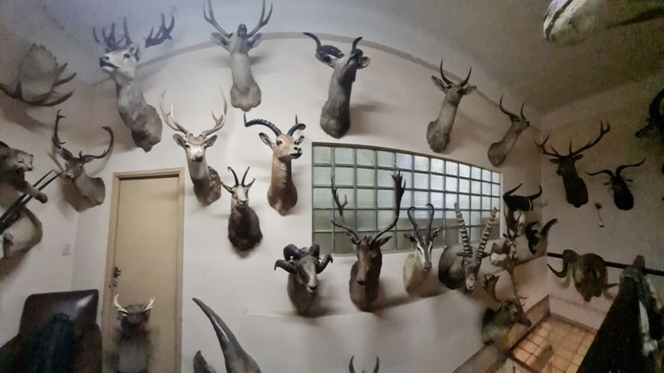 Animales Fort 20220826
