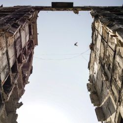 Un pájaro pasa volando por delante de un edificio en ruinas en Mariupol en medio de la actual acción militar rusa en Ucrania. | Foto:STRINGER / AFP