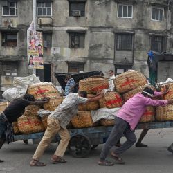 Trabajadores empujan una carretilla cargada con cestas de pescado desde un puerto en Mumbai, India. | Foto:INDRANIL MUKHERJEE / AFP