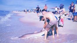 Hombre saca a un tiburón del agua en la playa de Nueva York 20220831