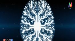 Memoria saludable: los mejores tips para mantener tu cerebro en optimas condiciones