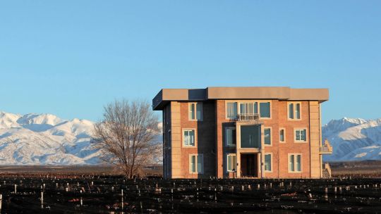 Mendoza: dos experiencias únicas, que conjugan vinos, spa, cocinas gourmet y todo el expertise de mujeres pioneras