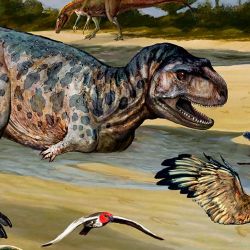 Predominaron en la fauna carnívora durante el Cretácico Superior -entre unos 100 a 66.000.000 de años atrás