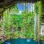 0905_cenotes