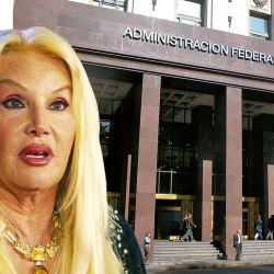La AFIP denunció a Susana Giménez por evasión agravada  | Foto:Cedoc.
