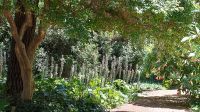 Jardín Botánico de Buenos Aires 20220906