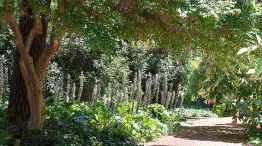 Jardín Botánico de Buenos Aires 20220906