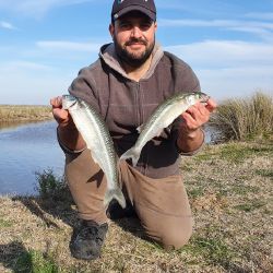 Aunque en principio fue el arroyo Las Gallinas el que picó en punta y marcó el inicio de este proceso, el epicentro de la pesca es Canal 5. 