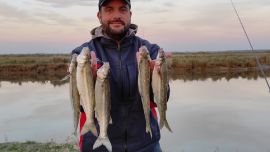 Aunque en principio fue el arroyo Las Gallinas el que picó en punta y marcó el inicio de este proceso, el epicentro de la pesca es Canal 5.