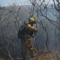 Varias dotaciones de bomberos y brigadistas siguen combatiendo los focos de fuego.
