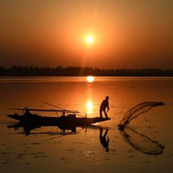 Un pescador echa la red en el lago Dal durante la puesta de sol en Srinagar, India. | Foto:TAUSEEF MUSTAFA / AFP