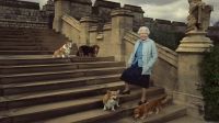 La Reina Isabel II y sus cuatro perros