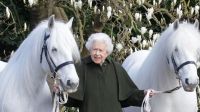 La reina Isaber con una de sus mayores pasiones: los caballos
