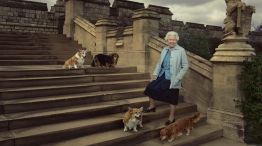 La Reina Isabel II y sus cuatro perros
