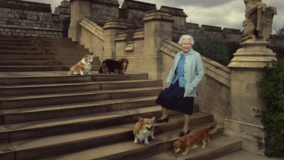 La Reina Isabel II y sus cuatro perros