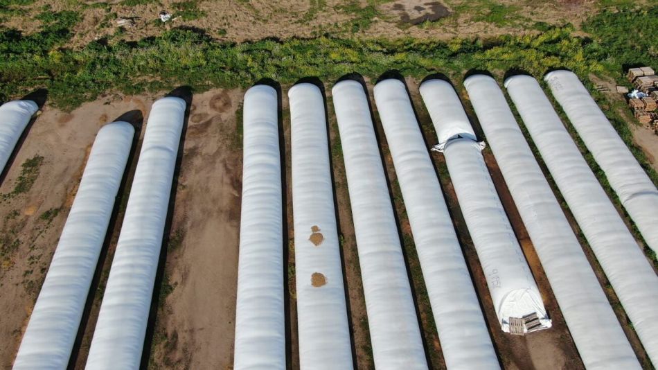 LA AFIP RECLAMA MÁS DE $27.000 MILLONES A PRODUCTORES AGRÍCOLAS QUE SUBDECLARARON SUS STOCKS DE GRANOS