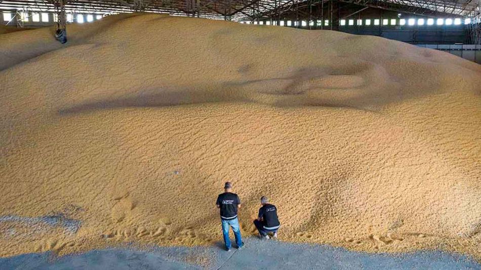 AFIP incautó 10 mil toneladas de maíz sin declarar en Chaco
