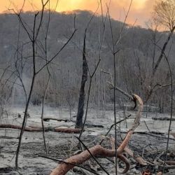 El gran temor de las autoridades es que el fuego se extienda al Parque Nacional Calilegua.