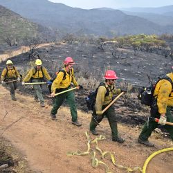 Los bomberos pasan por delante de un paisaje calcinado por el incendio de Fairview en el Bosque Nacional de San Bernardino, cerca de Hemet, California. | Foto:Frederic J. Brown / AFP