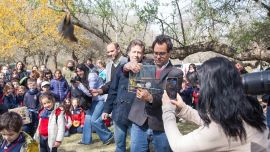 Los 82 pájaros ya vuelan nuevamente en libertad.