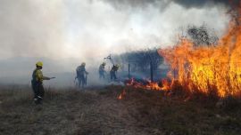 El fuego arrasa con todo lo que encuentra a su paso.