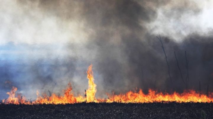 Quema de pastizales en el Delta del Paraná: cómo afecta el humo a los ojos y cómo protegerlos.