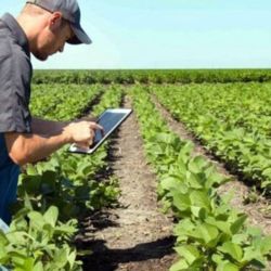 Agtech: aplicaciones para el campo.  | Foto:CEDOC