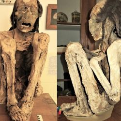 Las momias pertenecen a dos hombres que habitaron en la América del Sur precolombina.