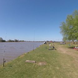 El camping Alsina está ubicado sobre el Riacho Baradero y a mano derecha, aguas abajo, a unos diez kilómetros esta la boca del Paraná de las Palmas.