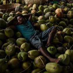 Un trabajador duerme sobre una pila de cocos en el mercado mayorista del embarcadero de Yangon, Myanmar. | Foto:Sai Aung Main / AFP