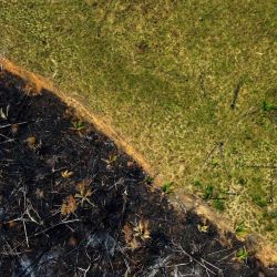Vista aérea de una zona quemada en Lábrea, sur del estado de Amazonas, Brasil. - Según el Instituto Nacional de Investigaciones Espaciales (INPE), los focos de incendio en la región amazónica experimentaron un aumento récord en la primera quincena de septiembre, siendo la media del mes de 1.400 incendios por día. | Foto:MICHAEL DANTAS / AFP