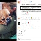 Nicole Neumann compartió un duro mensaje por su perrita: "Si compras una perra robada..."