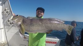 Tanto el salmón blanco como el mero viven en las profundidades ocultándose bajo las piedras, grietas u otros escondites. Emociones fuertes embarcados.