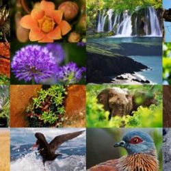 La biodiversidad contribuye a muchos aspectos de nuestro bienestar. 