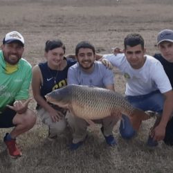 La carpa gigante pesó 14,300 kilos y fue obtenida por Dylan Galban, integrante del grupo de pesca Layeguakarp.